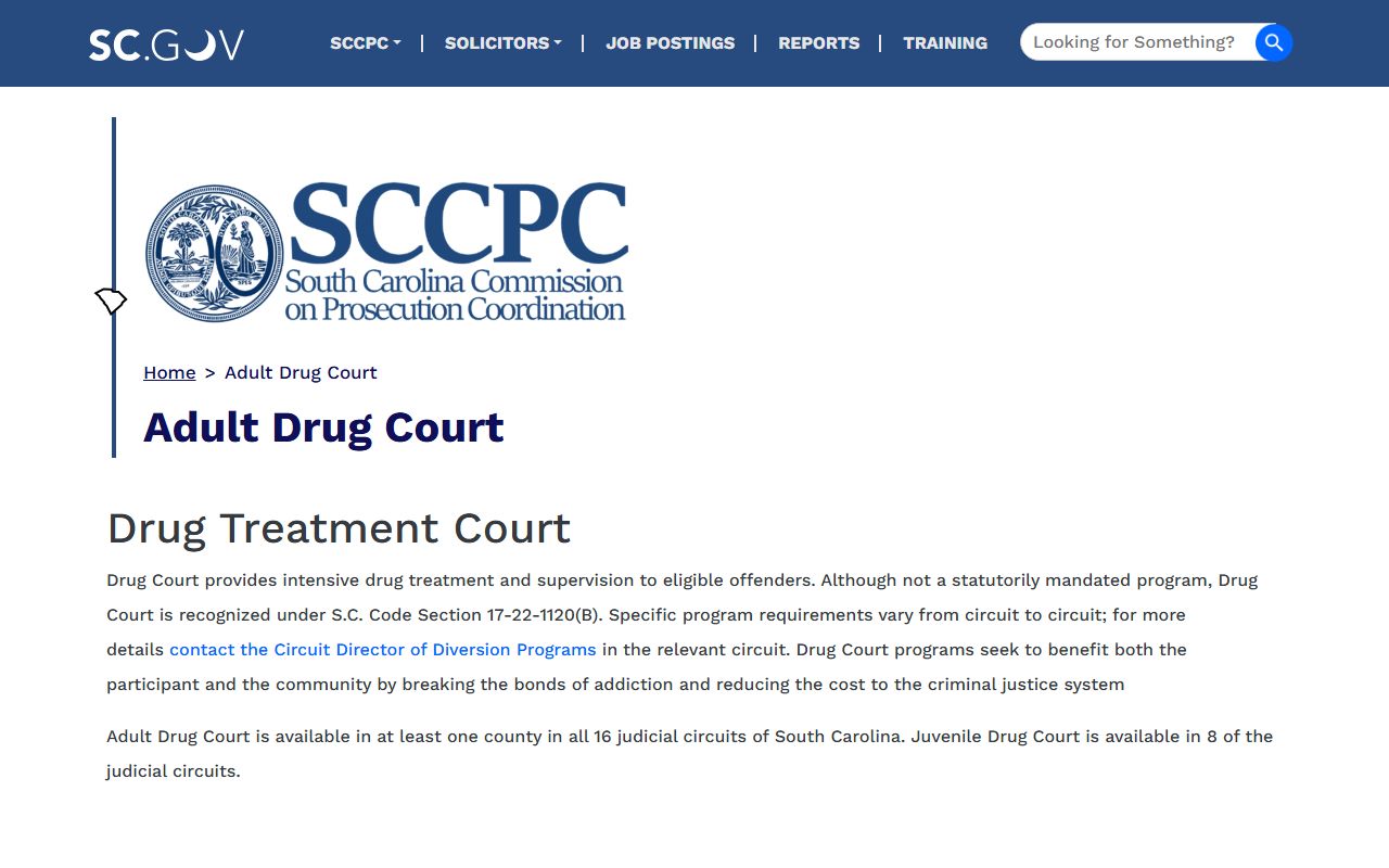 Marion County criminal court records Adult Drug Court information