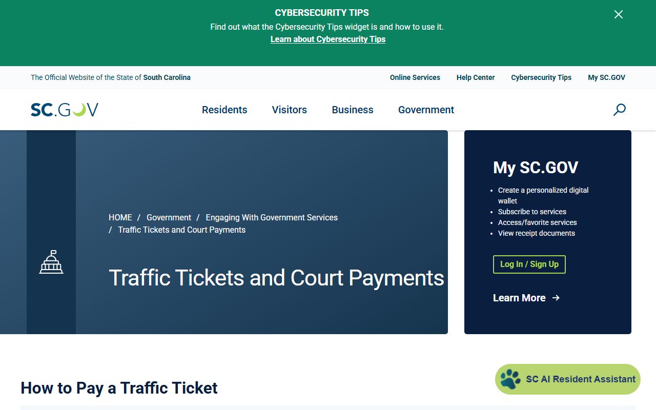 Marion County traffic court records South Carolina court payments
